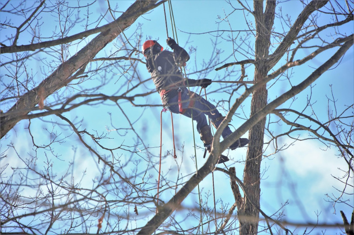 hard hat and safety boots